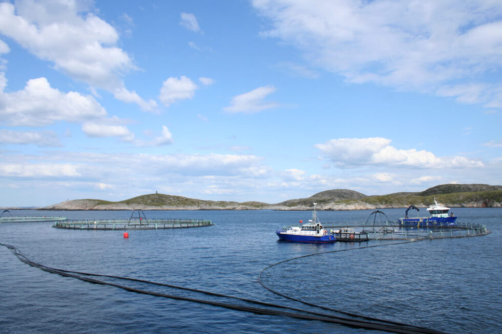 Flatanger får også i år en stor utbetaling fra Havbruksfondet. (Arkivfoto)