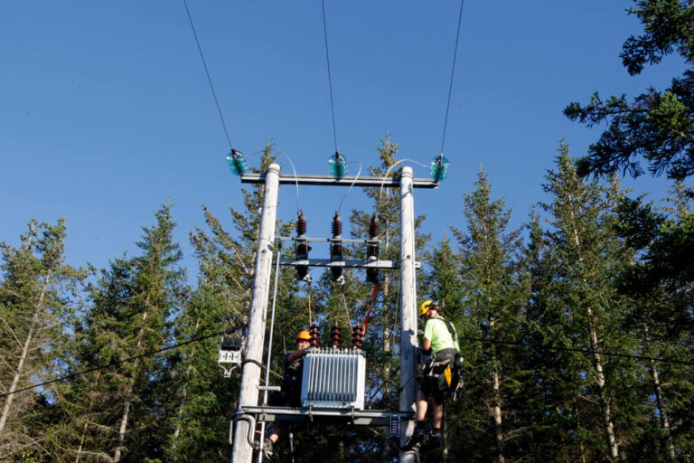 NTEs mannskaper var ute hele torsdagskvelden for å rette opp feilen som gjorde at mange mellom Lauvsnes og Vikdalen ble strømløse. (Arkivfoto)