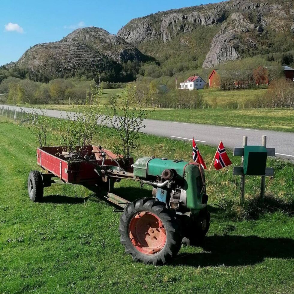 17. mai i Trefjor'n. (Foto: Lars Mårvik)