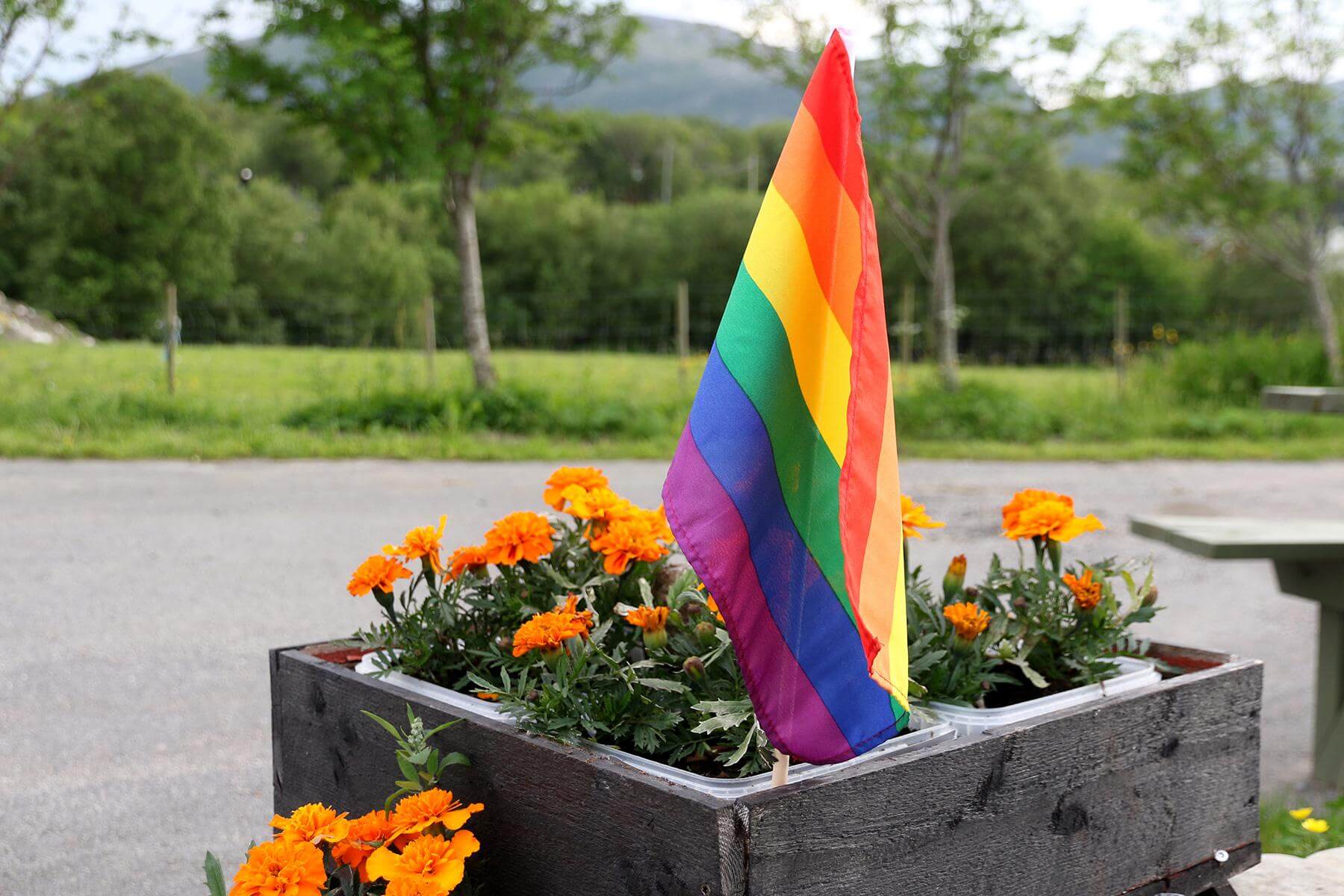 Prideflagget var satt ut i alle blomsterkassene langs veiene i Flatanger lørdag.