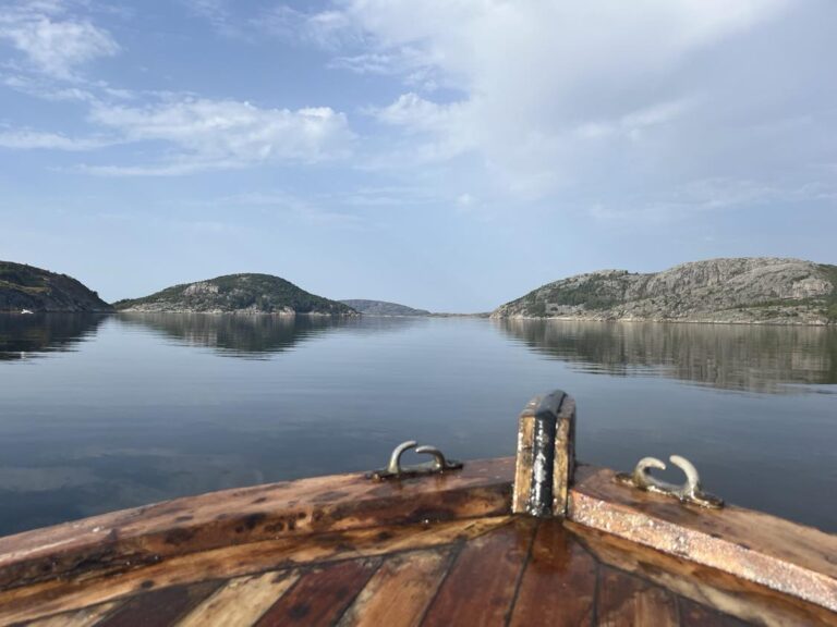 Vikfjorden september 2023