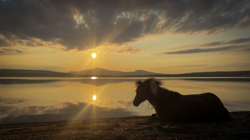 Stians egne bilder fra turen  på St. Olavsleden fra Sundsvall til Nidarosdomen. (Foto: Stian Holmen Lein)
