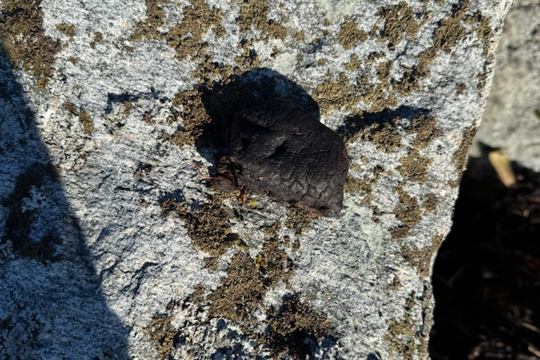 Dette er en av klumpene som ble funnet i Flatanger tirsdag. (Foto: Marius Olsen)