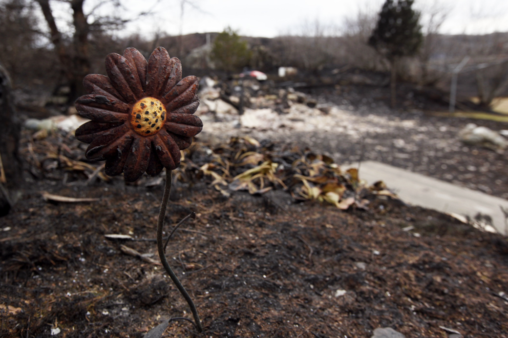 En jernblomst står trassig igjen på "Gammelgården".
