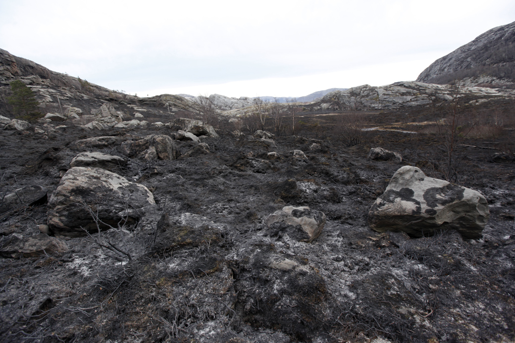 Svart ørkenlandskap mellom Hårnesmoen og Hasvåg vitner om hvilke krefter som var i sving.