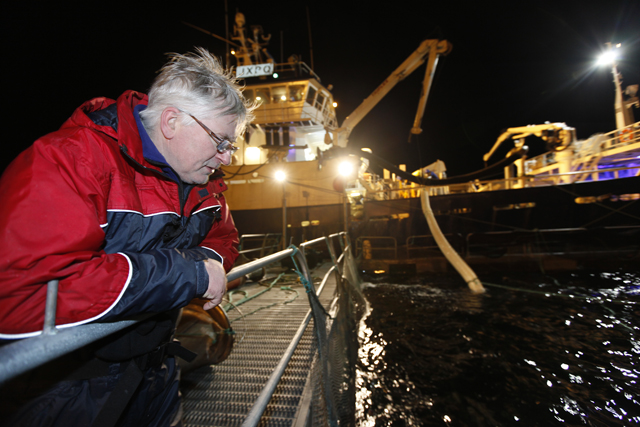 Asbjørn Torrissen fulgte med da torsken fra Lofoten ble pumpet over i ventemerdene ved Nesset.