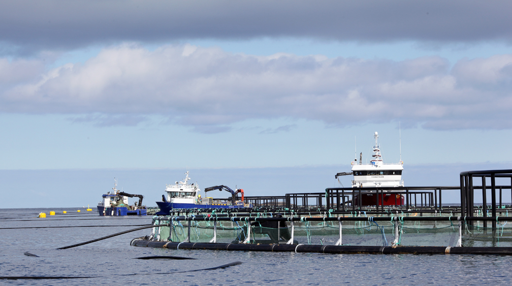 Bjørøya fiskeoppdrett_2