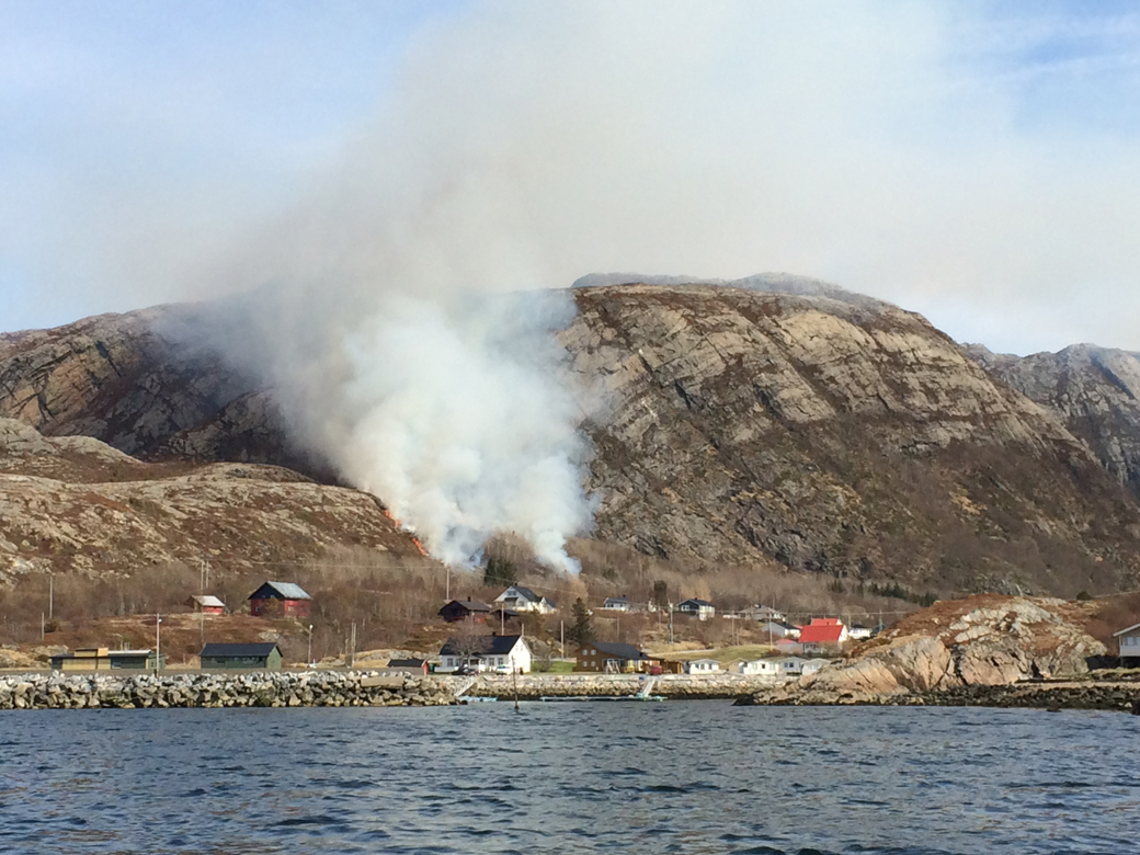 Brannen startet like ved bebyggelsen, men ingen hus ble tatt av flammene. (Foto: Stian Holmen Lein)