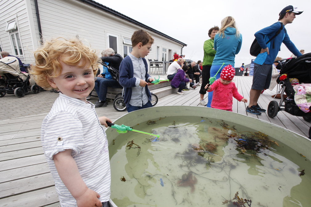 KYSTDAG: Håkon prøve fiskelykken i karet med krabbe på Kystdagen på Vik, som opplevde rekord med 500 besøkende på lørdagen.