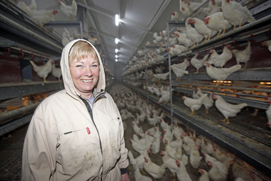 Ragnfrid Holberg Lindseth har økt fra 75 hobbyhøner på gården til 7.500 i det moderne hønsehuset, hvor hønene går fritt omkring.