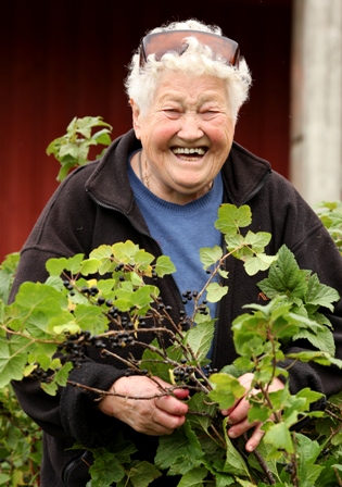 Judith plukker solbaer