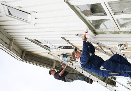 Museets venner maling