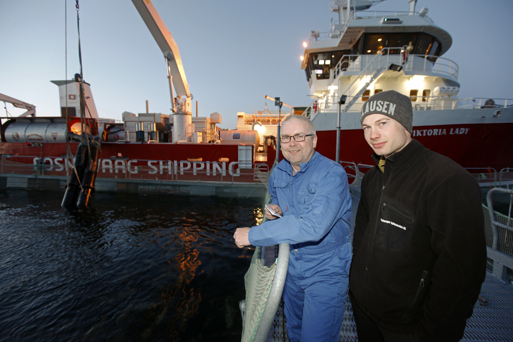 TORSK TIL NESSET: Fem måneder etter at det ble stopp ved Nesset Sjømat, kom det 124 tonn torsk til Nesset med brønnbåt. Håvard Haarstadstrand (til venstre) og Patrick Bjørsvik var glade for å se at det endelig kom torsk i ventemerdene.