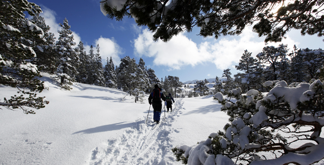 Stort bedre påskevær og -føre er nesten ikke mulig å ønske seg som i Smålia skjærtorsdag.