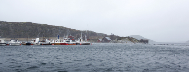 Ikke akkurat stille før stormen i havna på Vik lørdag, men det skal bli verre mot kvelden.