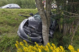 Bilen må betegnes som totalvrak etter utforkjøringen.