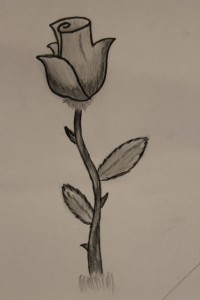 Denne vakre rosen er tegnet av Sandra Helen Dahle Skjelstadås. 