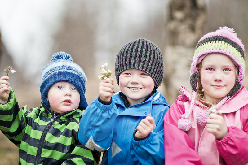 hvitveis Jonathan Lein Hestvik, Leon Leander Lein og Ariel Linnea Lein fant hvitveis på Stamnes onsdag. Årets første? (Foto: Stian Holmen)