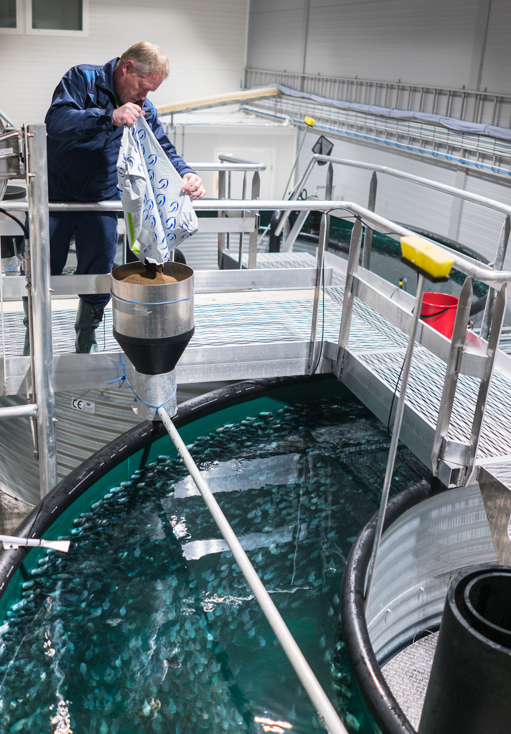 Arnt Gladsø fyller fôringsautomaten hos rognkjeksa. (Foto: Namdal Rensefisk)