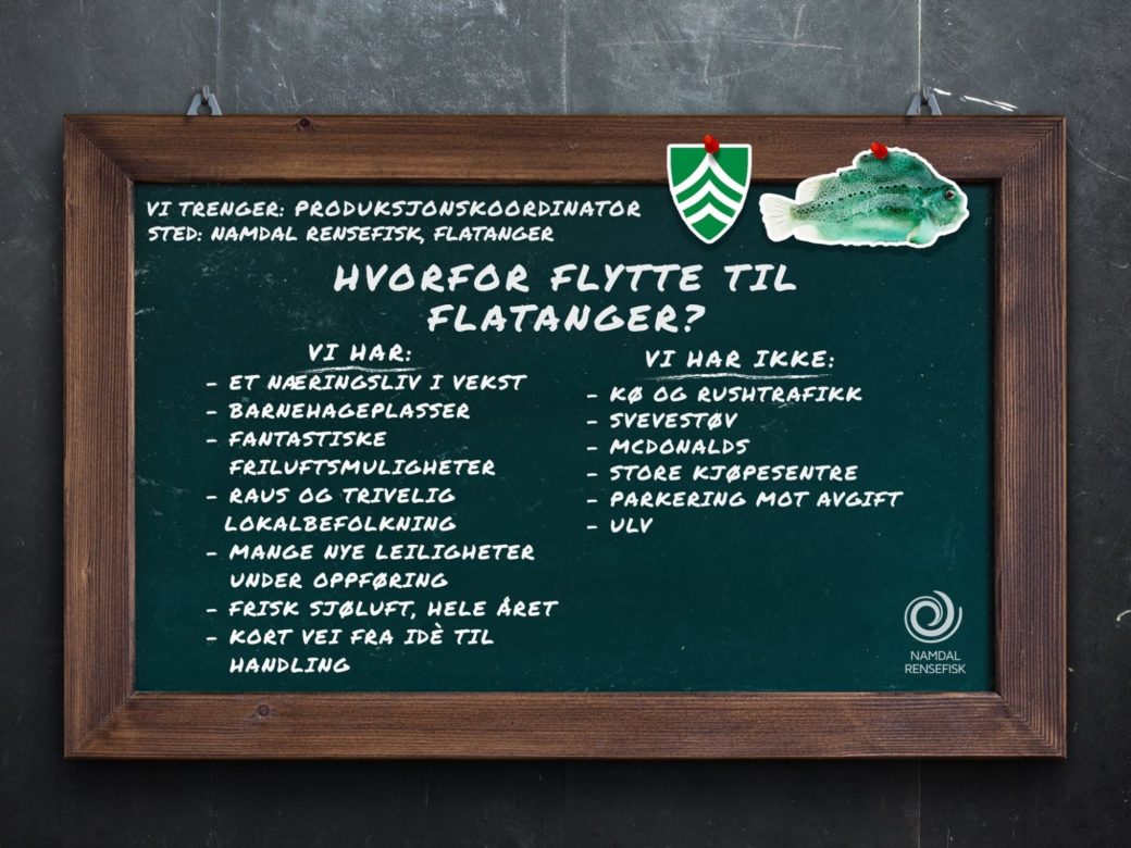 Namdal rensefisk plakat