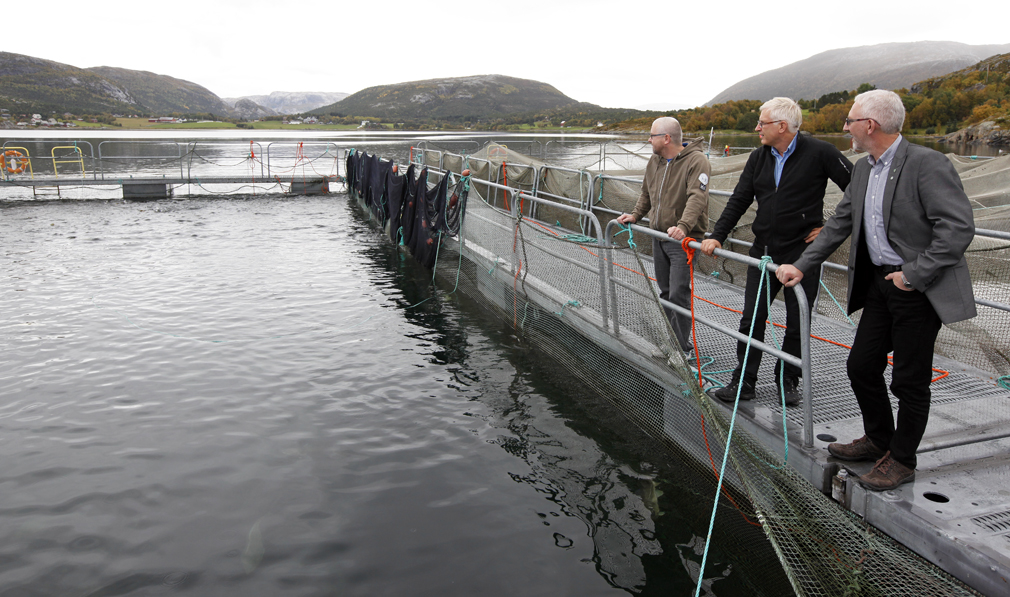 Ordfører Olav Jørgen Bjørkås (til høyre) er imponert over den jobben som er gjort for å få ny drift på plass, og håper det igjen skal bli fisk i merdene på Nesset. Fra venstre Håvard Haarstadstrand og Asbjørn Torrissen, som begge har vært sentrale i prosjektarbeidet. (Arkivbilde)