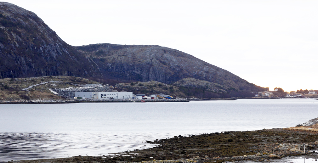 Det nye landbaserte oppdrettsanlegget for rognkjeks er blitt et nytt landemerke i Storlavika fra sjøsida, men er ikke synlig fra Vikveien.