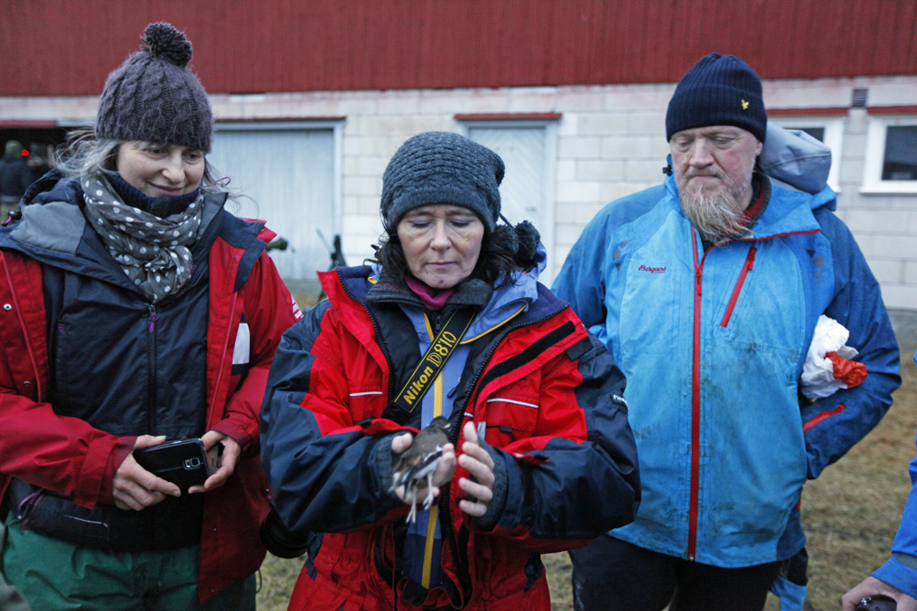 Wenche Anita Larsen Dahle holder den døde fuglen. - Trist, synes hun.