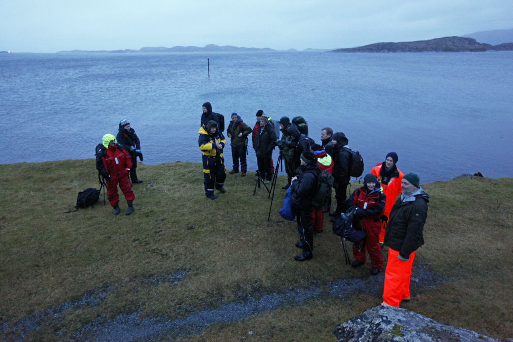 Den første puljen har ankommet Bjørøya i morgentimene onsdag, og skal snart starte letinga etter den sjeldene fuglen.