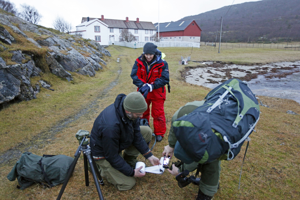 Fuglen pakkes inn og forlater Bjørøya. Neste stopp blir Vitenskapsmuseet i Trondheim.