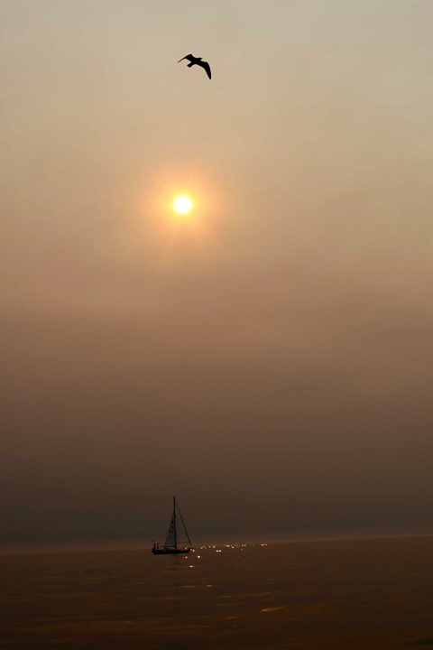 Tirnanoir i skogbrann.