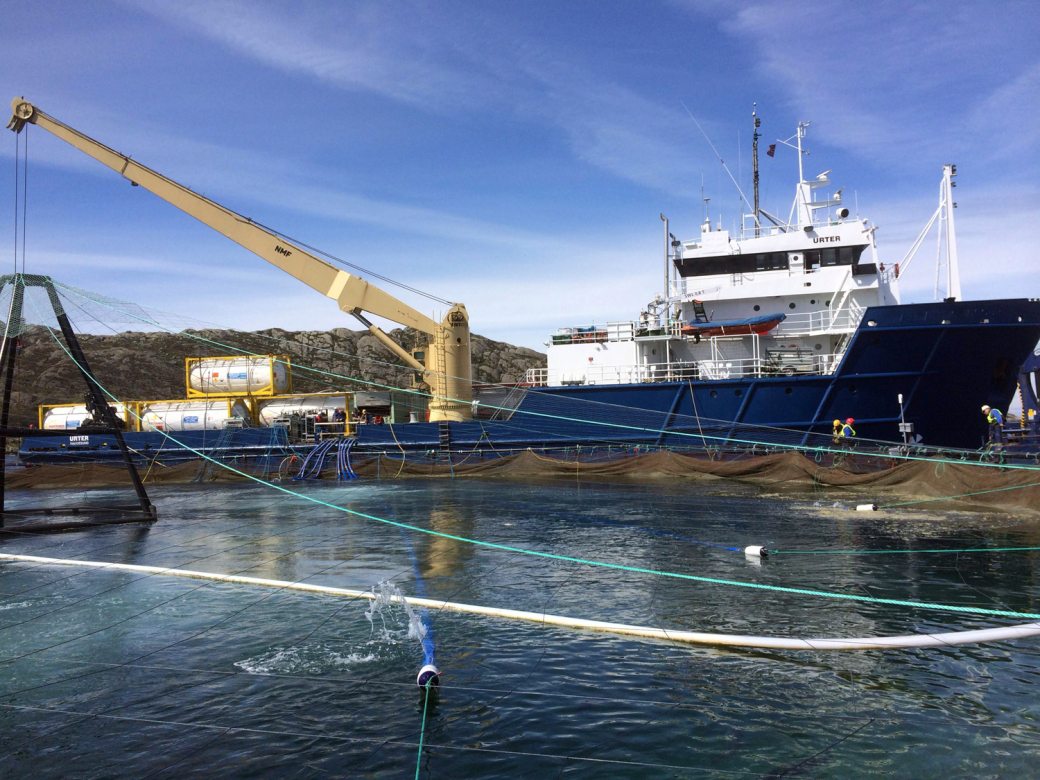 MS Urter har vært leid inn i ett år allerede, og erfaringen med å bruke skipet til badebehandling av oppdrettslaks er gode. (Foto: AQS)