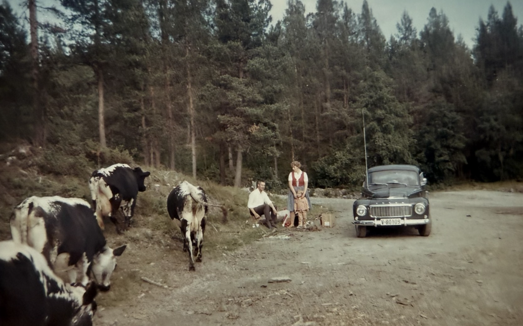 Thor og Ellen Hustad med dattera Sissel, august 1968. Foto: Privat. 