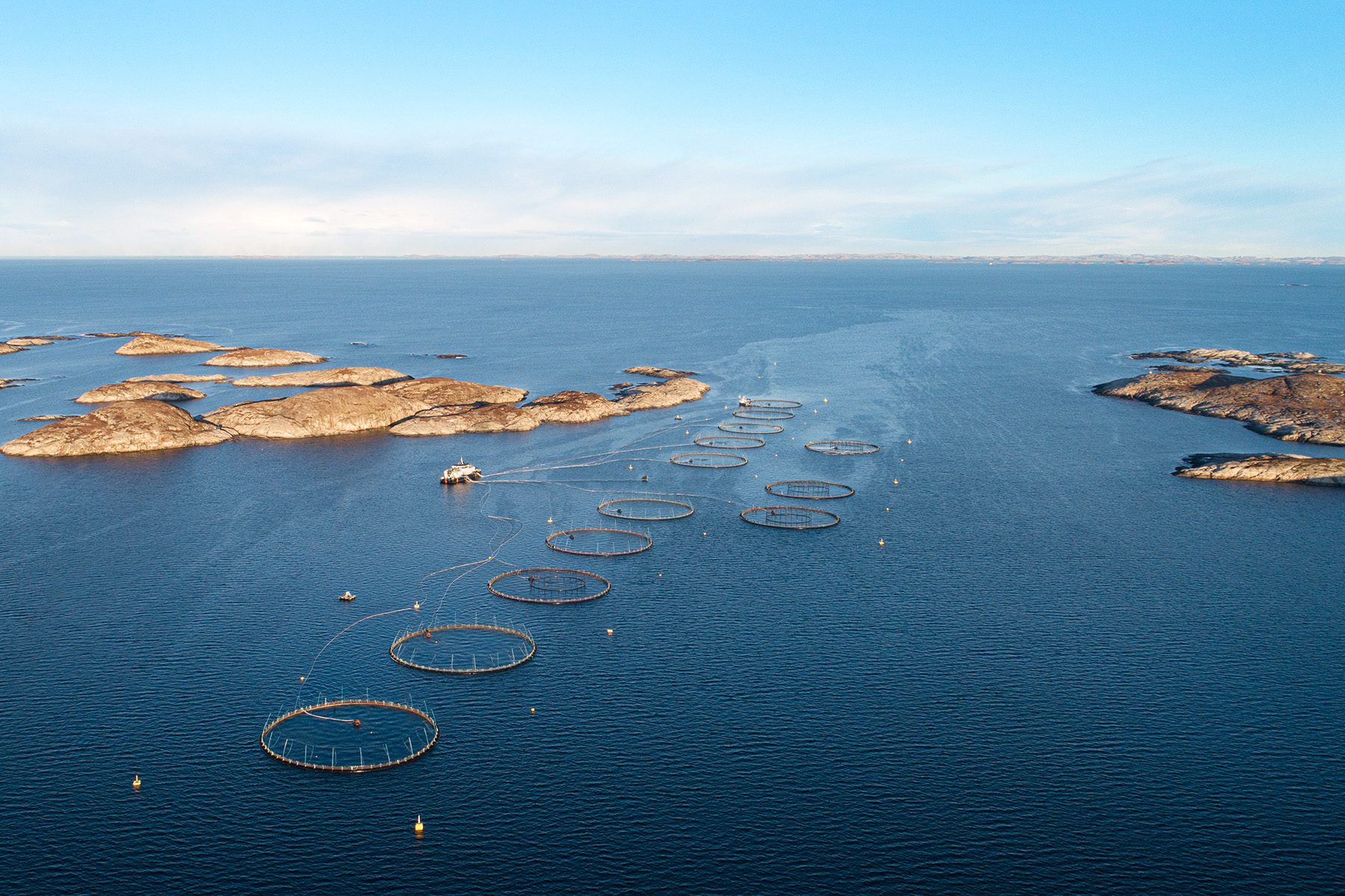 Bj&oslash;r&oslash;ya kan n&aring; utvide produksjonen. Her p&aring; Kr&aring;kholmen er det i h&oslash;st satt ut en ny generasjon. (Foto: Bj&oslash;r&oslash;ya)