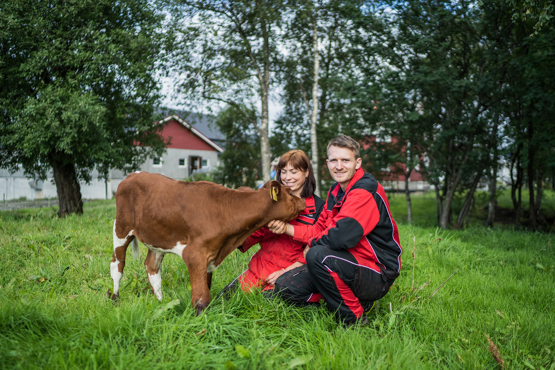 Tilde S&aelig;ther og Benjamin Eliassen driver g&aring;rden Midtun i Overhalla, og har n&aring; f&aring;tt en nasjonal pris for god dyrevelferd. (Foto: Torstein Kiserud, Tine)