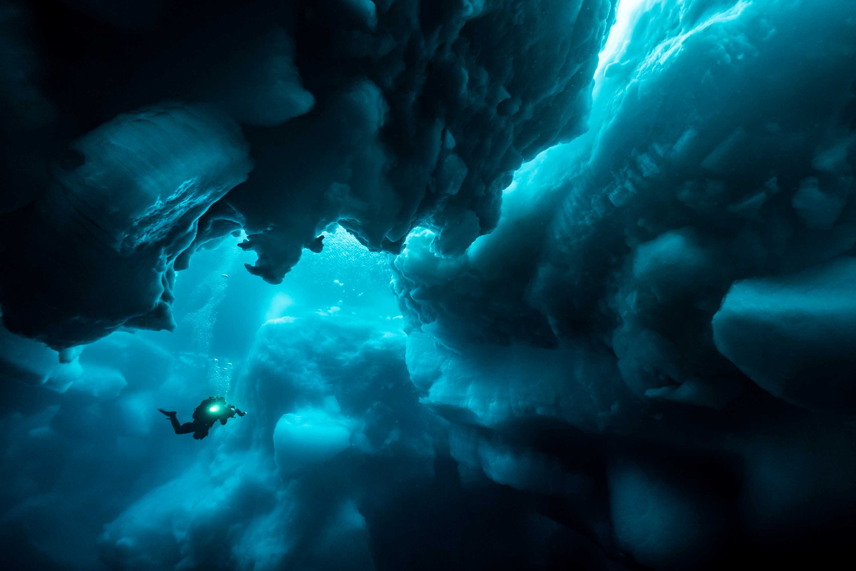 ISKALDT EVENTYR: Northern Explorers sender eventyrlystne fra hele verden p&aring; uforglemmelige turer. Her fra dykking p&aring; Svalbard. Foto: Privat.