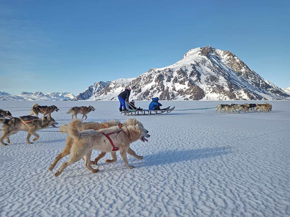 EN HELT VANLIG DAG P&Aring; GR&Oslash;NLAND: Hundekj&oslash;ring er blant produktene p&aring; Northern Explorers Gr&oslash;nlands-opplegg. Foto: Privat.