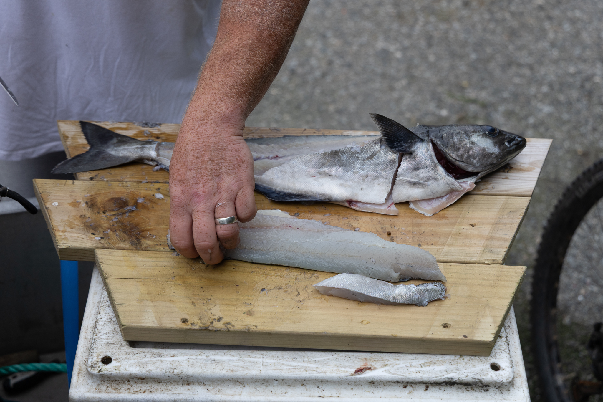 En loin er f&oslash;dt.
