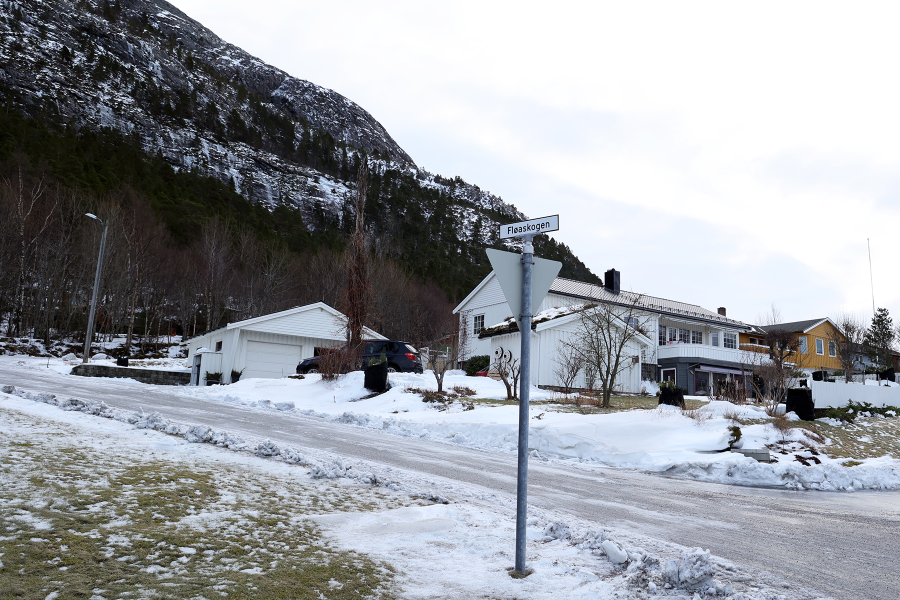 Kommunestyret vedtok 40 km/t som fartsgrense i Fløanskogen, selv om denne veien er privat.