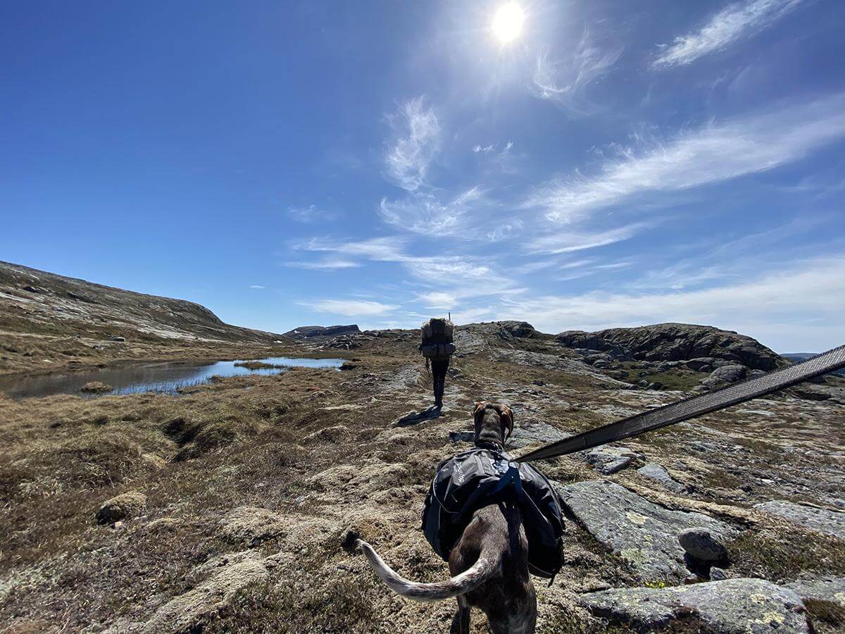 Flatanger-naturen kan by på store opplevelser. (Foto: Fredrik Dahle Klocke)