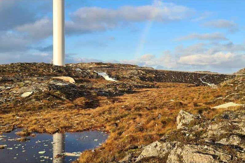 Det ligger s&oslash;ppel som inneholder hormonhermer Bisfenol A i dammer, bekker, lyng og mose, skriver Raine Olaf &Oslash;rsnes. (Foto: Privat)