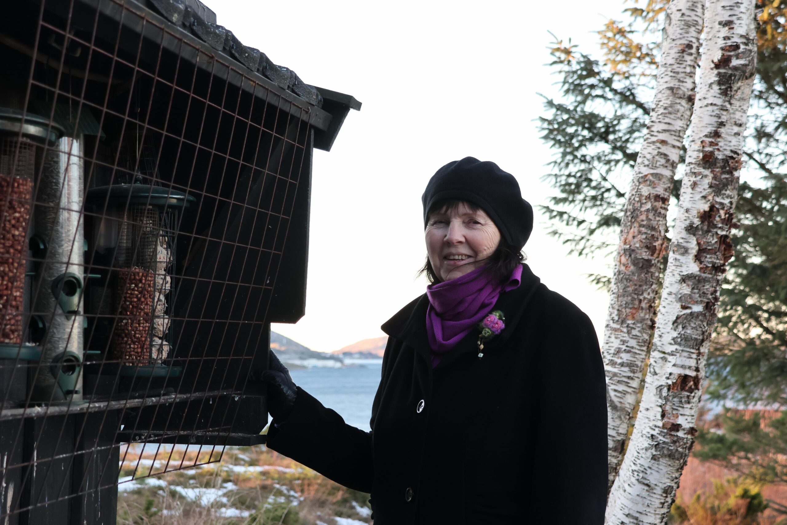 Med tak over og gitter foran, er det en skjermet matstasjon for de minste fuglene i hagen til Gro Seltveit og Yngve Sivertsen. 