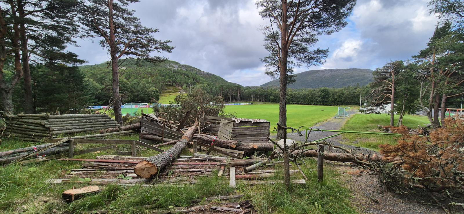 Slik så det ut på plassen etter at furuene var hogd ned. (Foto: Johnny Dahle)