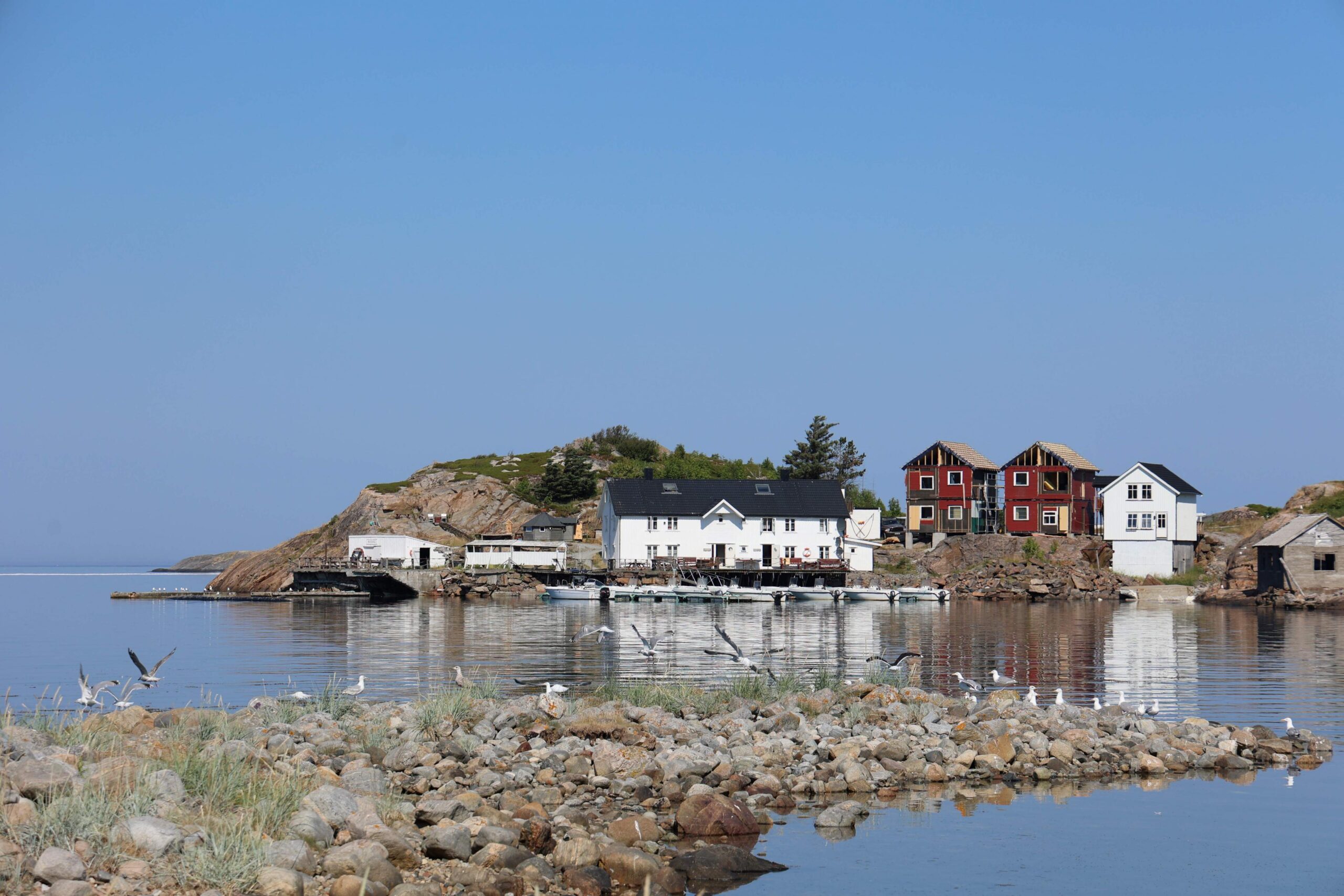 Hasv&aring;gCamp utvides s&aring; det blir plass til 16 ekstra gjester (Foto: Eline Ruud Kristiansen)