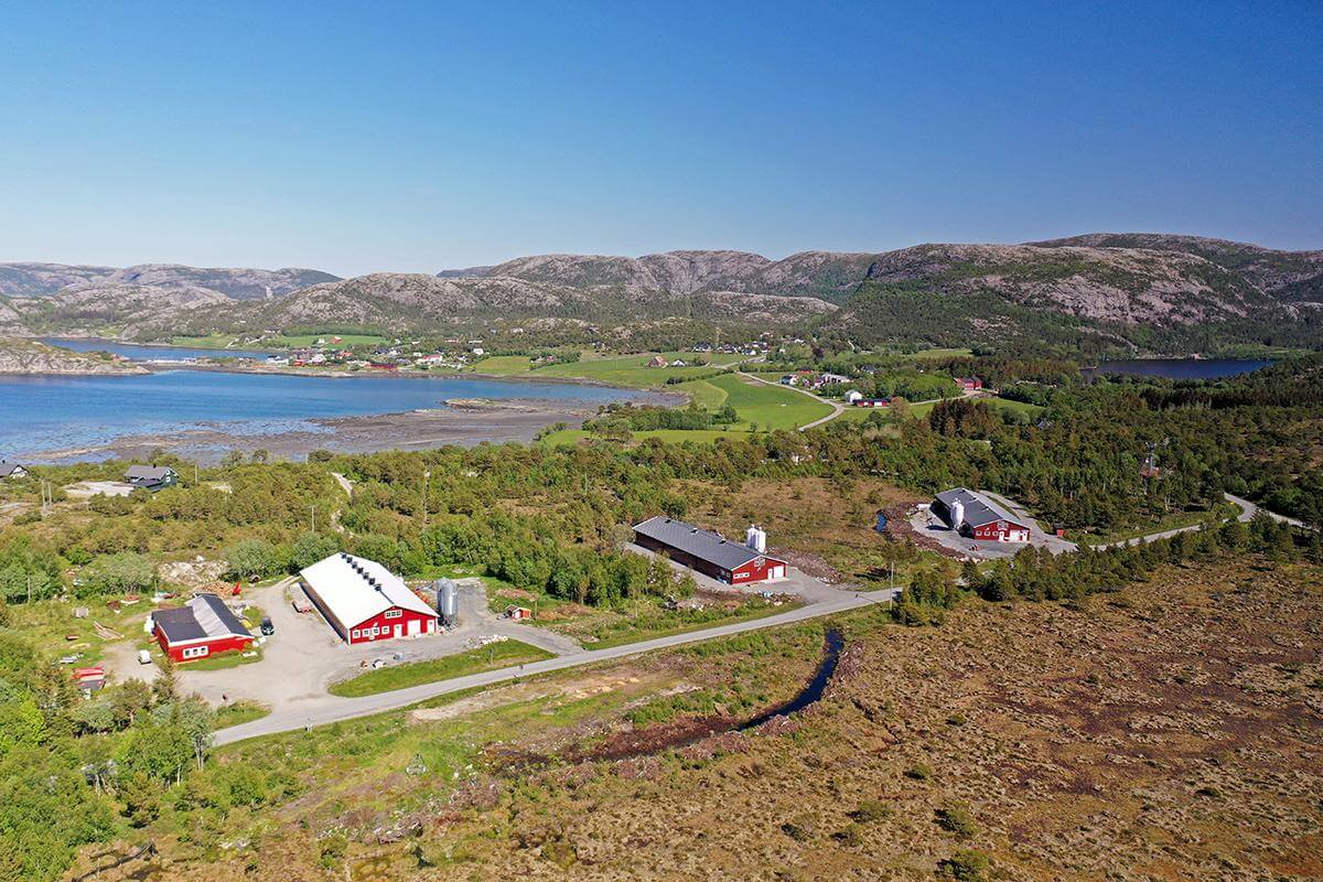 I disse tre hønsehusene på Kilmyra legger hønene nok egg til å dekke årsforbruket i en by som Bodø.