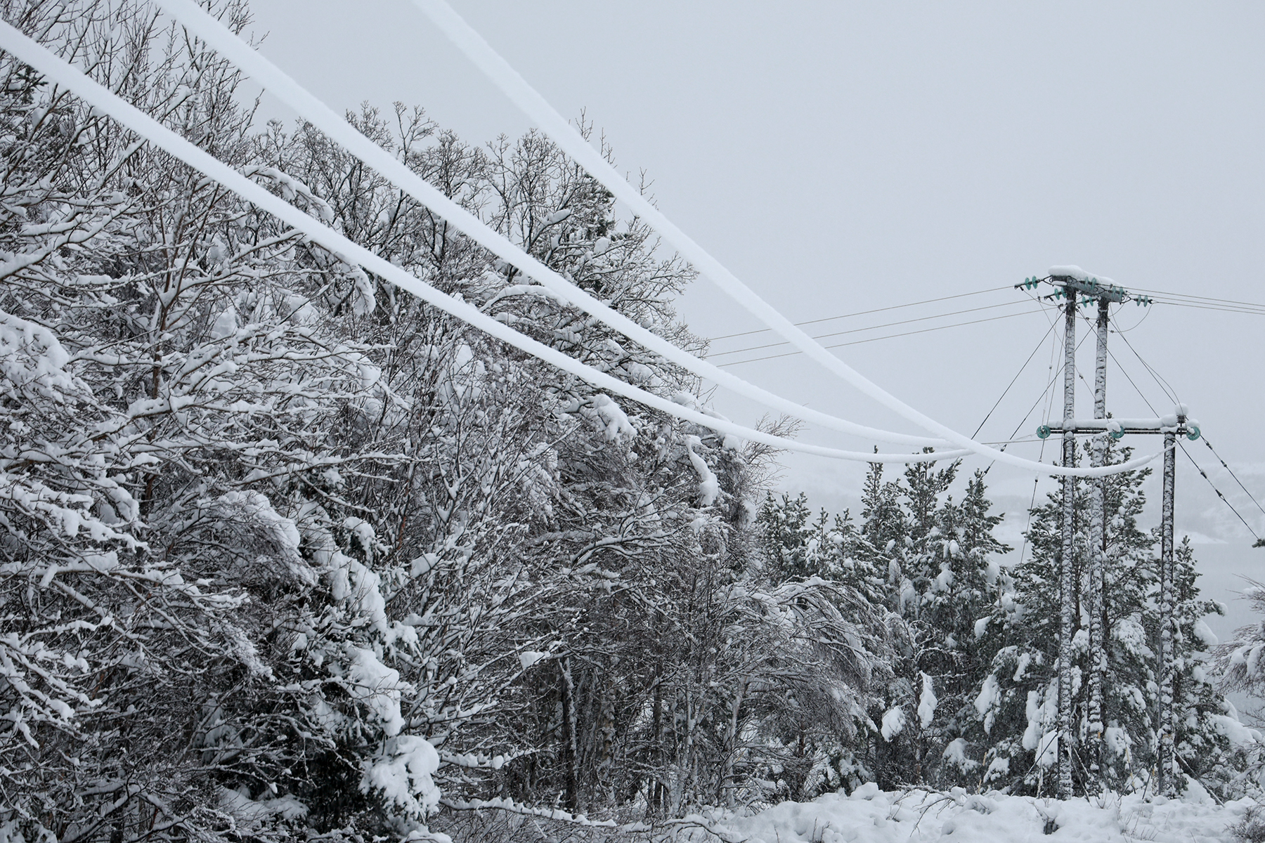 Strømmen som kommer gjennom disse kablene er blitt dyrere og dyrere i Midt-Norge... (Arkivfoto)
