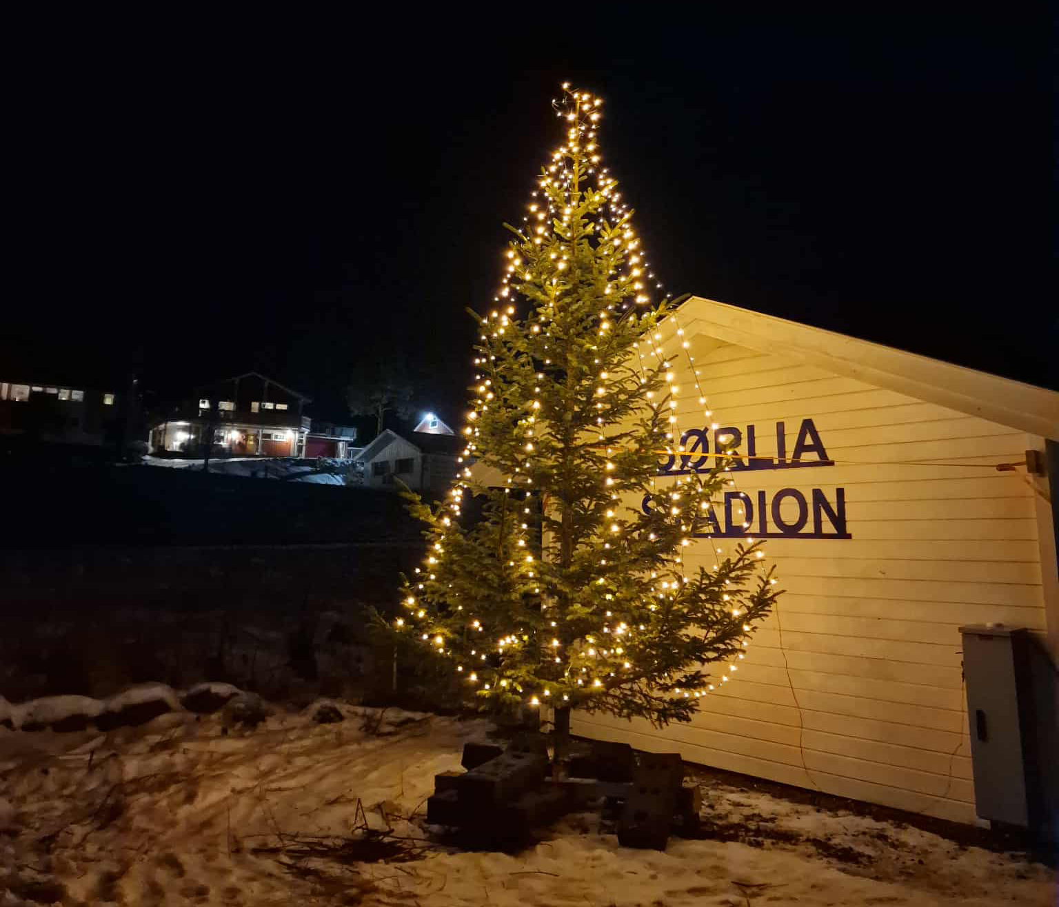 Juletreet st&aring;r og lyser i m&oslash;rket ved skolen og stadion. (Foto: Solveig Monsen)