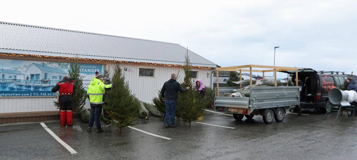 Det gjelder å sikre seg det perfekte juletre før andre tar det.