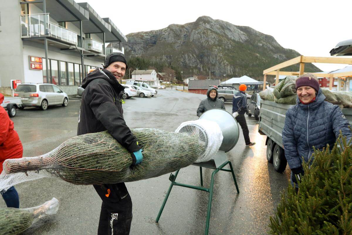 Juletreselger Tor Erik Eriksson redder jula for mange i Flatanger når han kommer med trær fra Lierne og Verdal. Birgit Sørum har kort vei heim og trenger ikke innpakking.