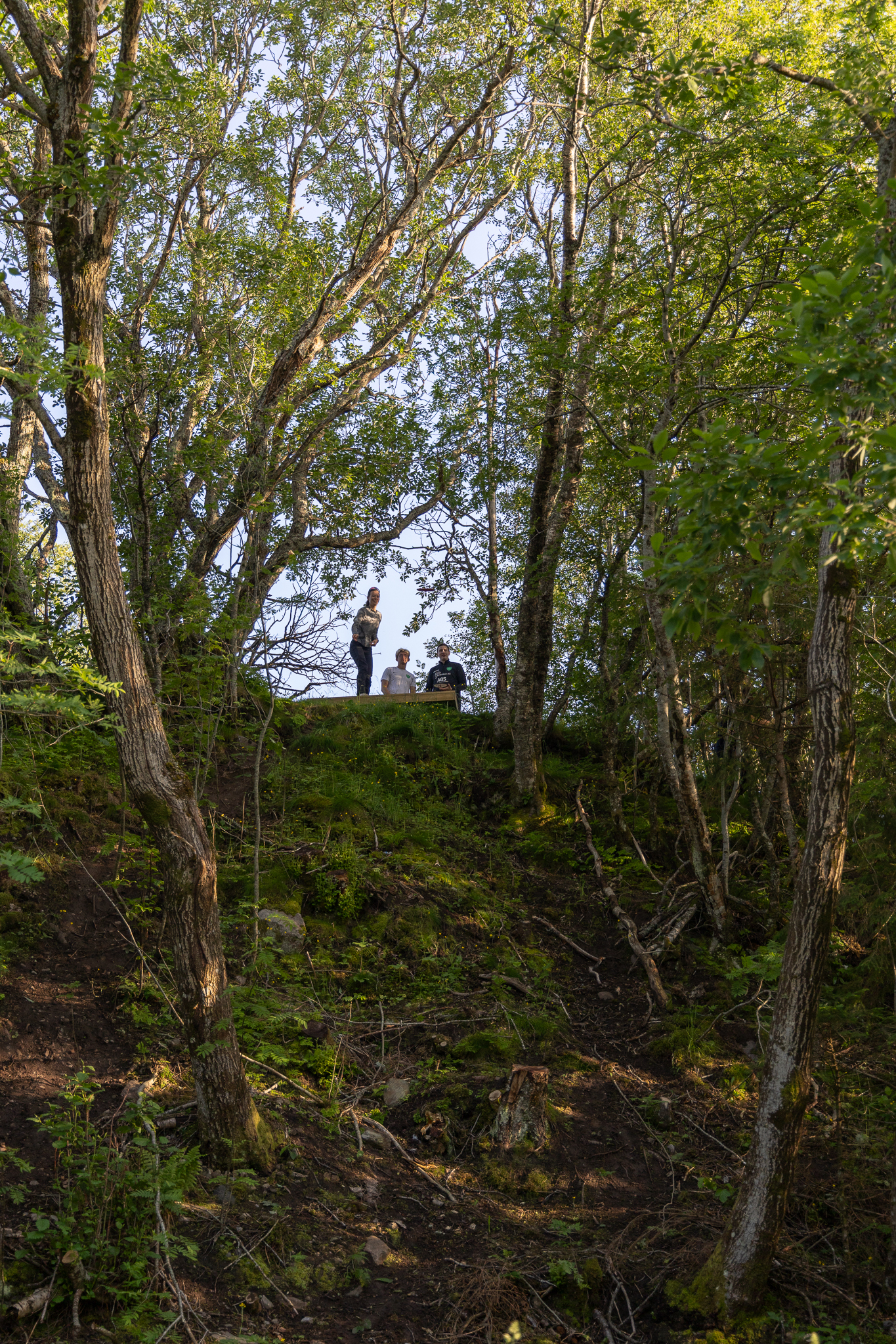 Har du sett noen kaste sm&aring; plastikkrundinger rundt i skogen og tenkt at det er noe rart med generasjonen n&aring; til dags? 