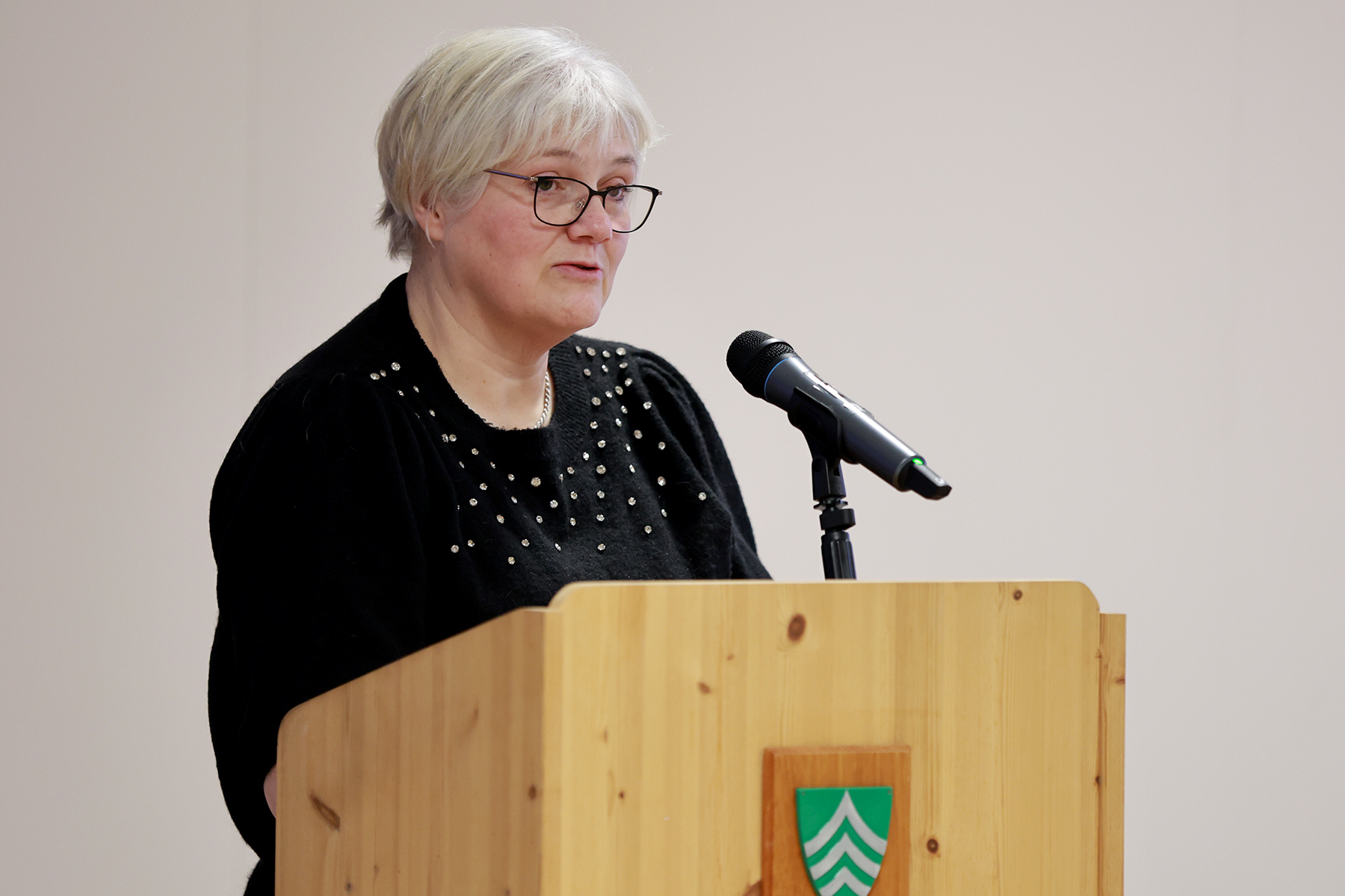 Lisbeth Hustad fikk ikke flertallet med seg på å utrede et kulturfond.